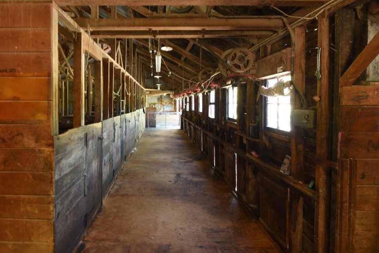 34 O’Neills Road Kakatahi_17