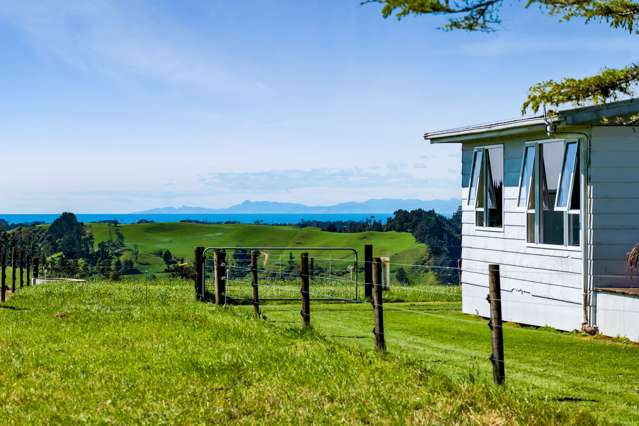 31 Clarke Road Huirangi_2