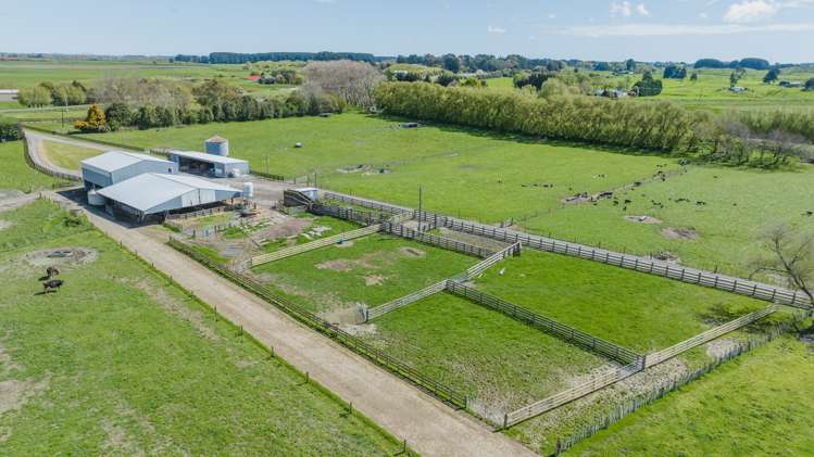 1217 Rangiotu Road Tiakitahuna_18