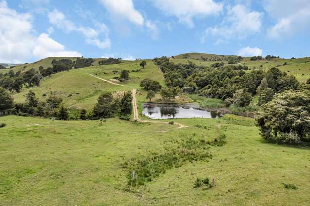 123 Homackey Road Matakohe_2