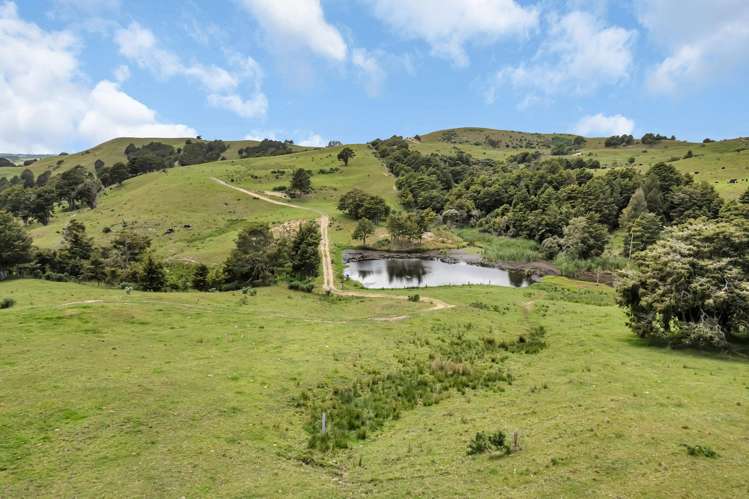 123 Homackey Road Matakohe_2