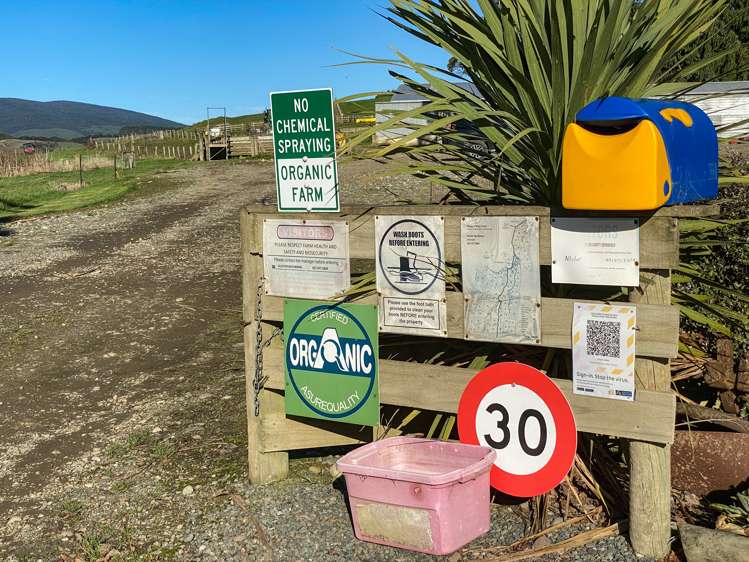 40 Whyte Road Tuatapere_13