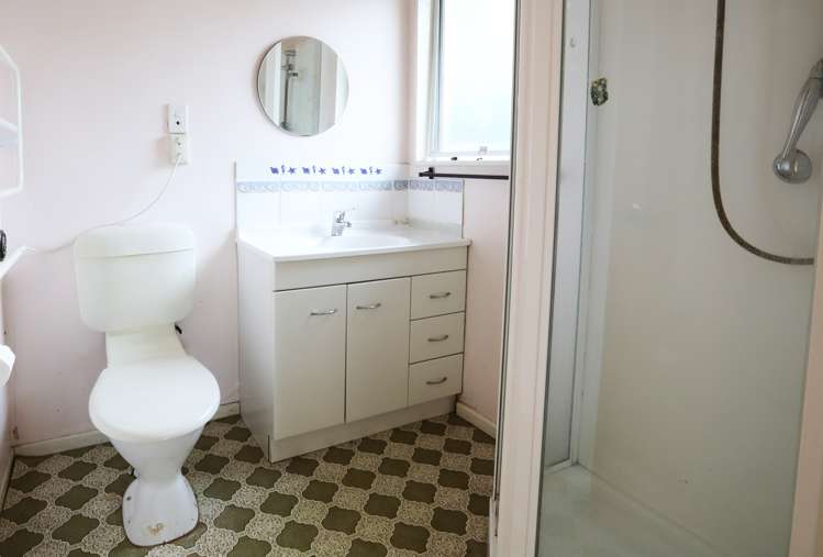 40 Alma Street Renwick_8