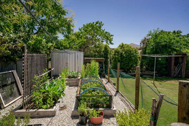 177 Alison Avenue Albert Town_16