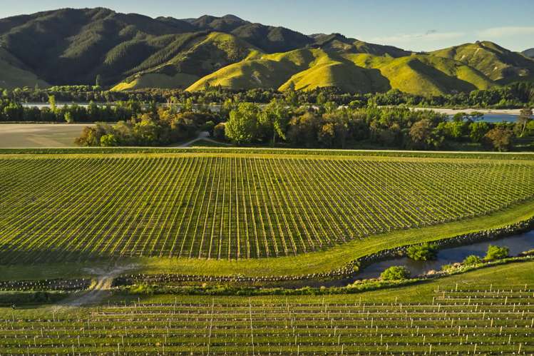 212 Selmes Road Rapaura_17