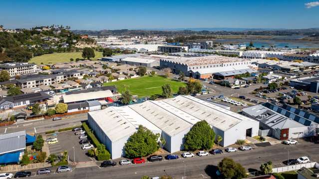 19-21 Ossian Street Ahuriri_2