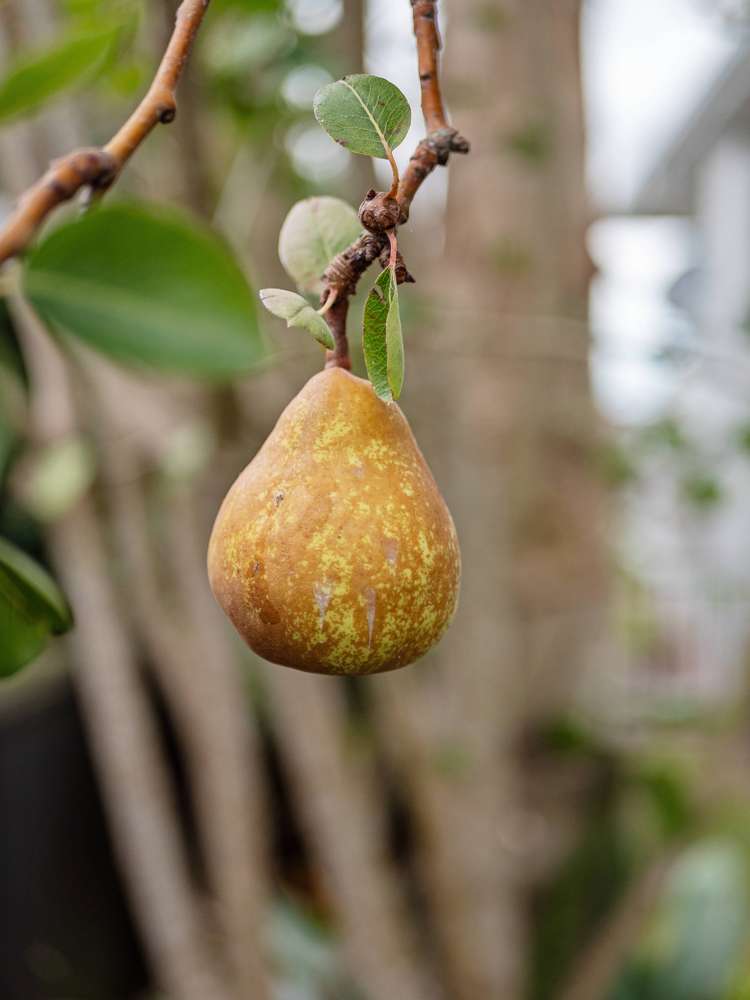 22 Smiths Road Matua_28