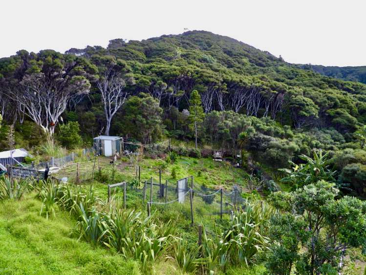 62 Kaitoke Lane Great Barrier Island_9