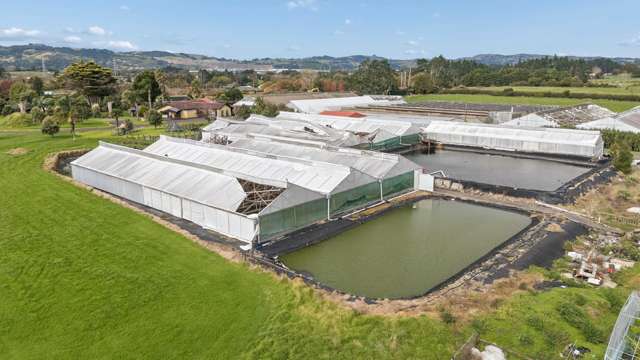 133 Jesmond Road Drury_3