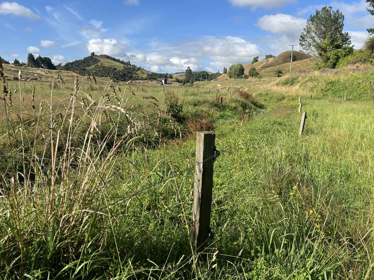 Waitomo Valley Road Waitomo_8