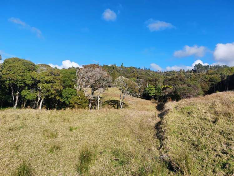 Lot 2/2084 Waiare Road Kaeo_23