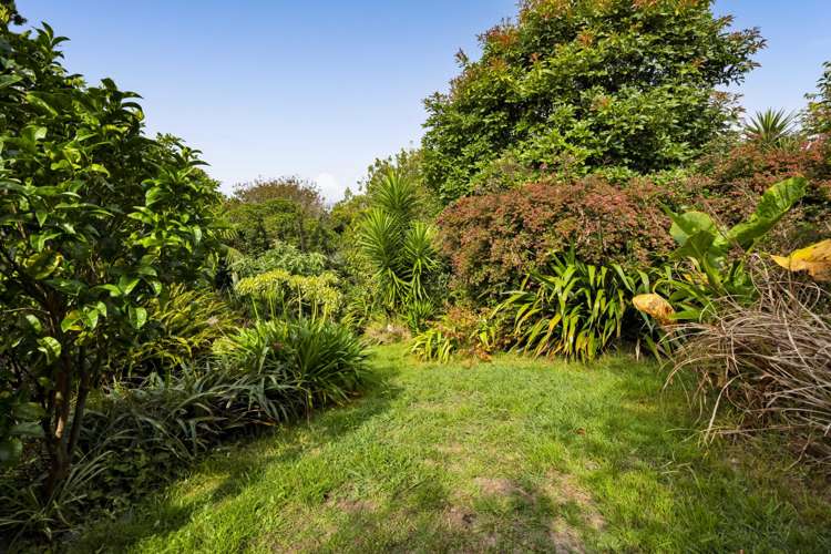 40 Banks Street Marfell_21