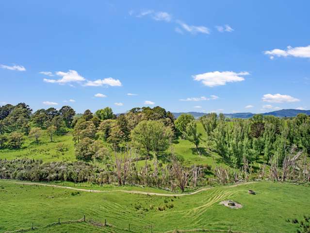 / Lot 4 Judd Road Maungaturoto_2