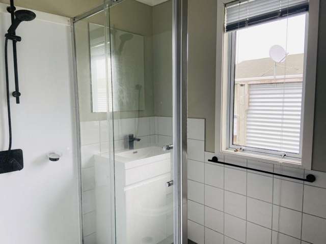 116 Apatu Street 2120_3