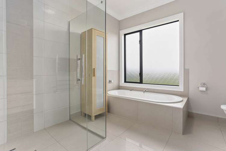 166J Postman Road Dairy Flat_25