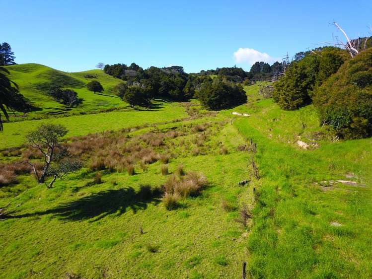 110 Diggers Valley Road Herekino_27