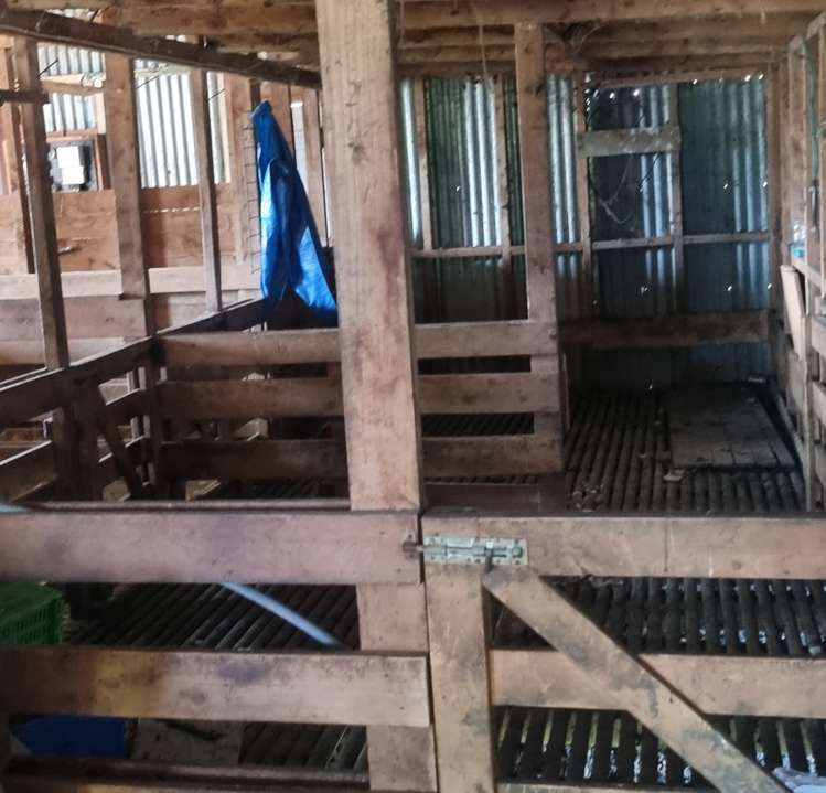 9 Buckley Road Shannon_13