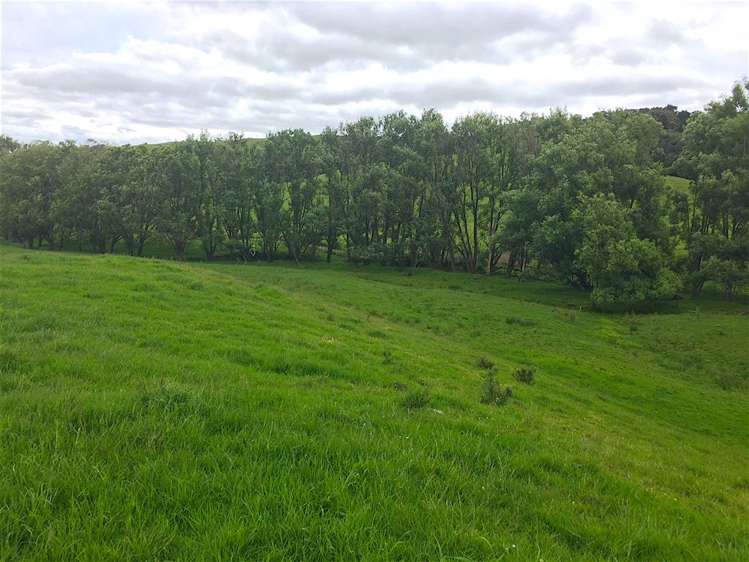 70 Churton Road Kaingaroa_3