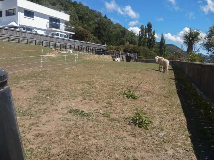 3 Collins Place Picton_6