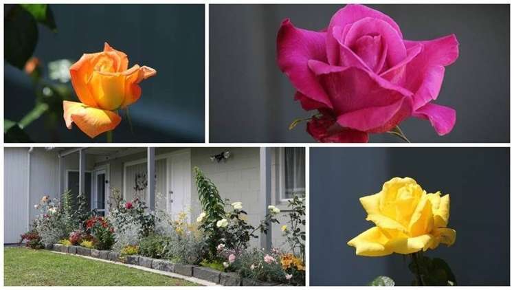 108 Captain Scott Road Glen Eden_25