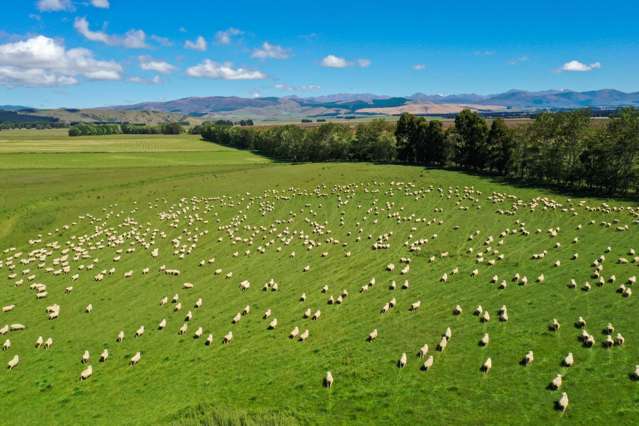 Diverse Large Scale Farming Operation