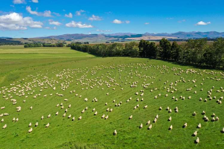 109 Affleck Road Castle Downs_0