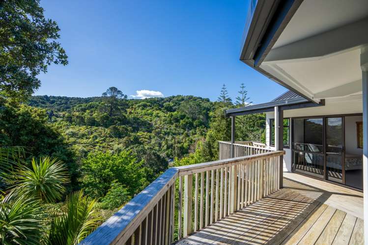 32 Scott Road Tamaterau_4