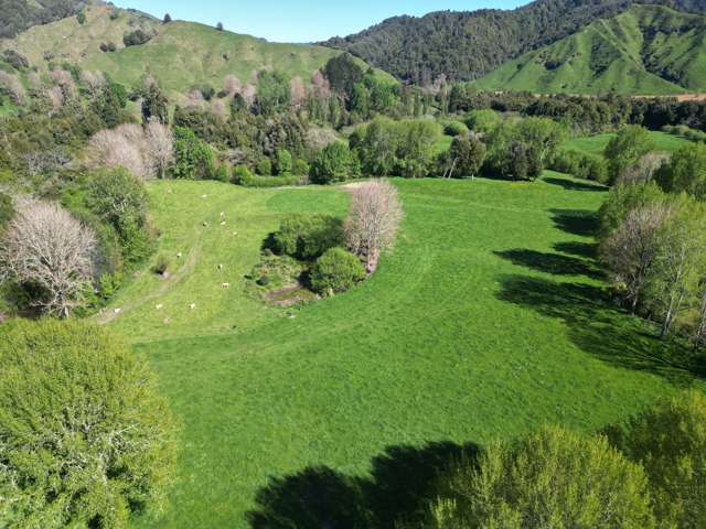 19 Tawa Street Ohura_4