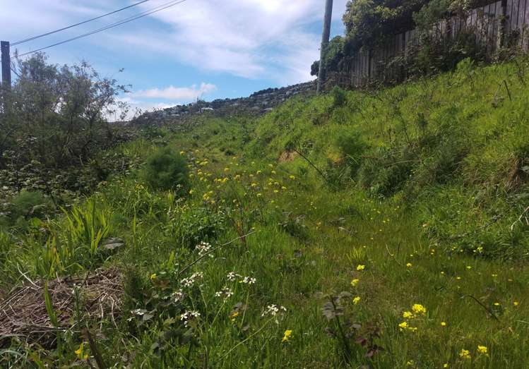 82 Curtis Street Northland_4