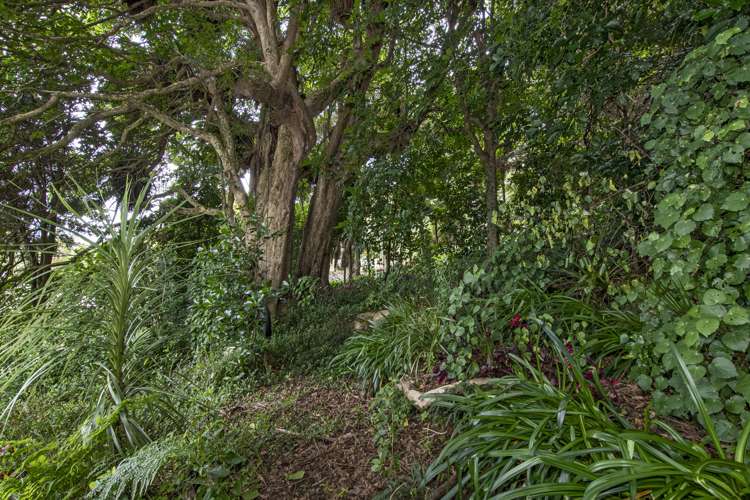 17 Granfield Place Kamo_33