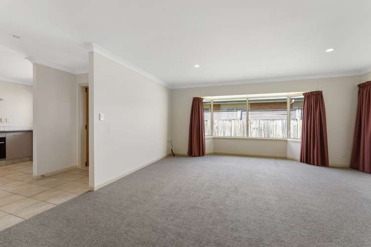 24B Reeve Street Levin_4