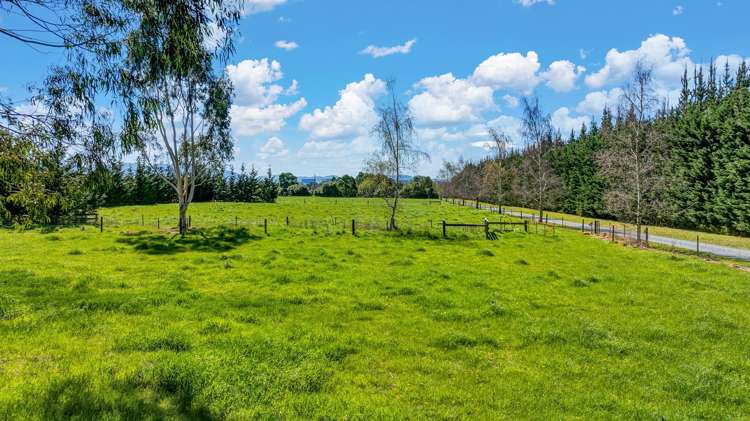 2469 Tram Road West Eyreton_42