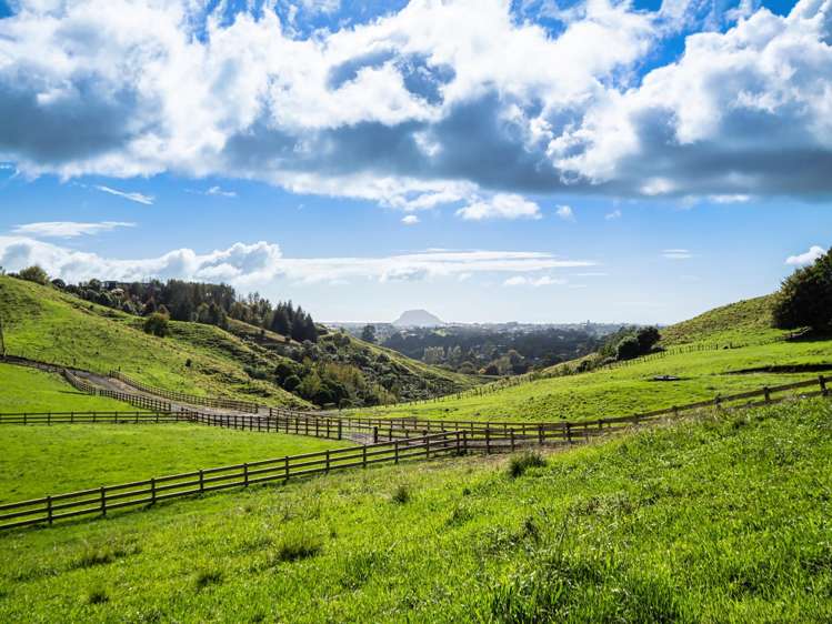 Lot 2,164C Crawford Road Te Puna_12