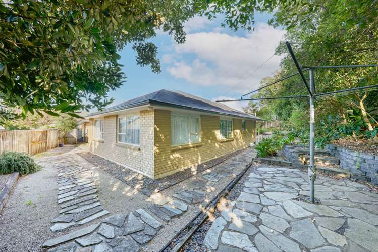 9 Northern Rata Place Albany_21