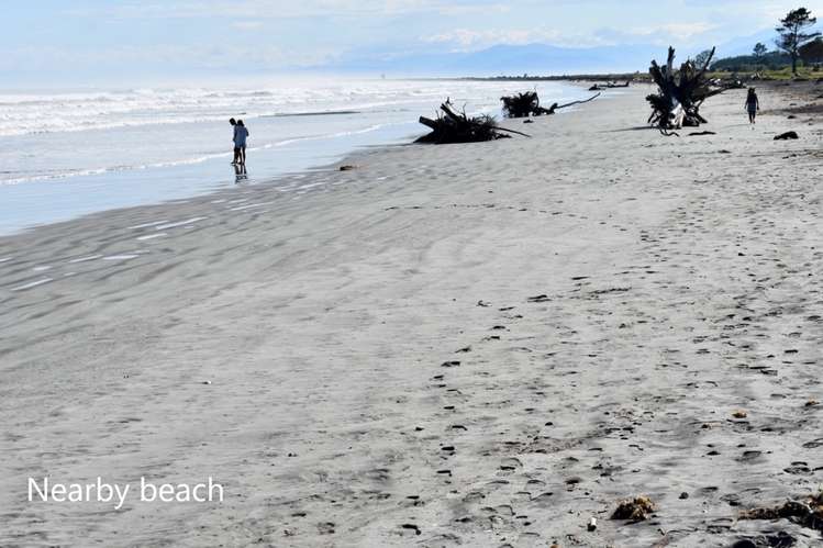 4 Elley Drive Carters Beach_16