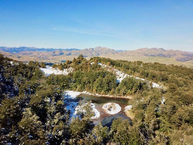 100 Mount Lyford Forest Drive Lyford_7