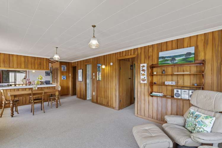 217 Smart Road Hillsborough_9