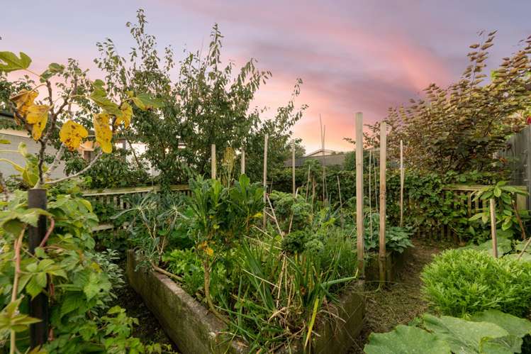 5 Harris Street Mount Maunganui_8