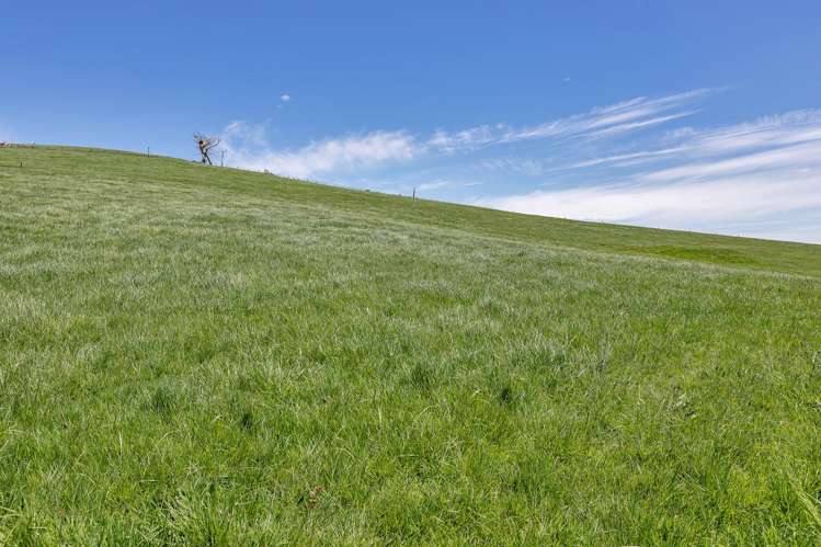 458 Parahi Road Ruawai_17