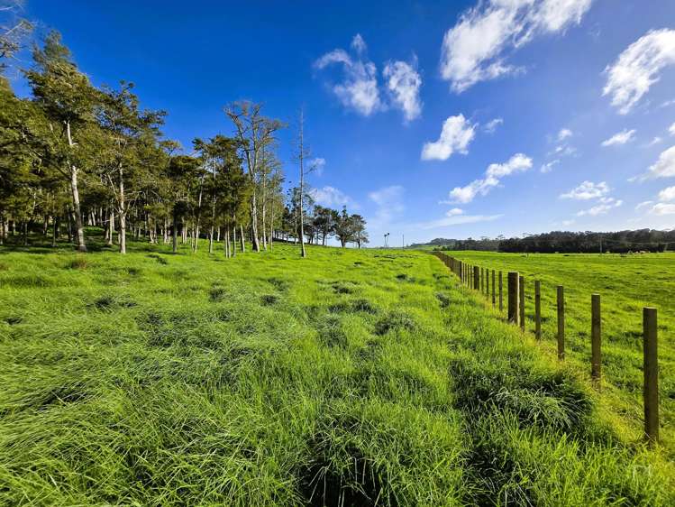 Lot Lot 3 Sills Road Dargaville_12