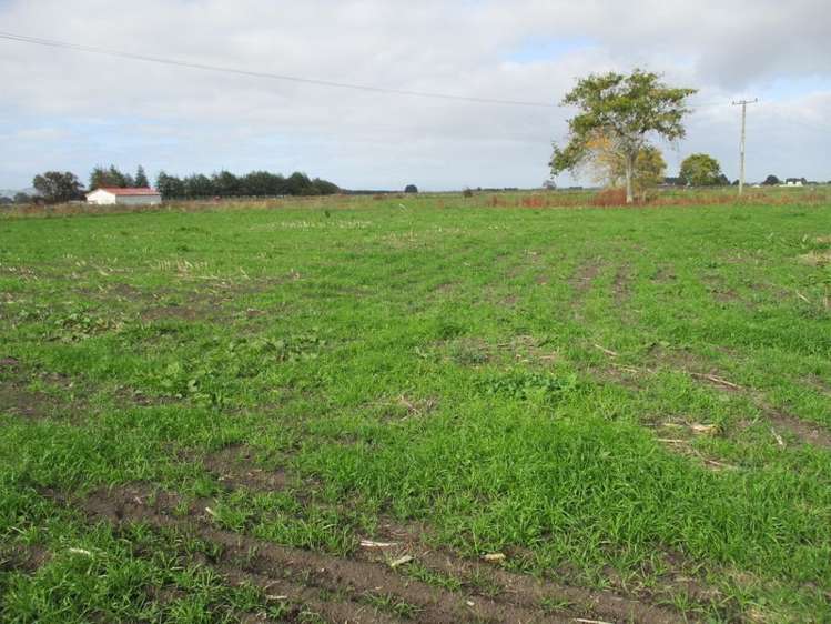 253 Parallel Road Ohaupo_1