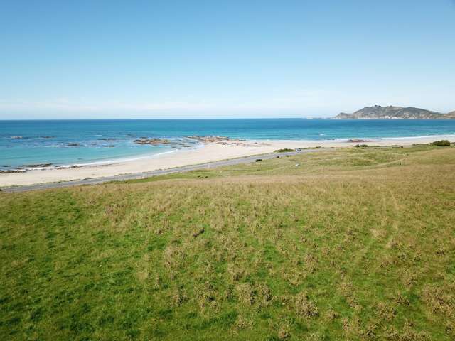 290 The Nuggets Road South Otago Coastal_1