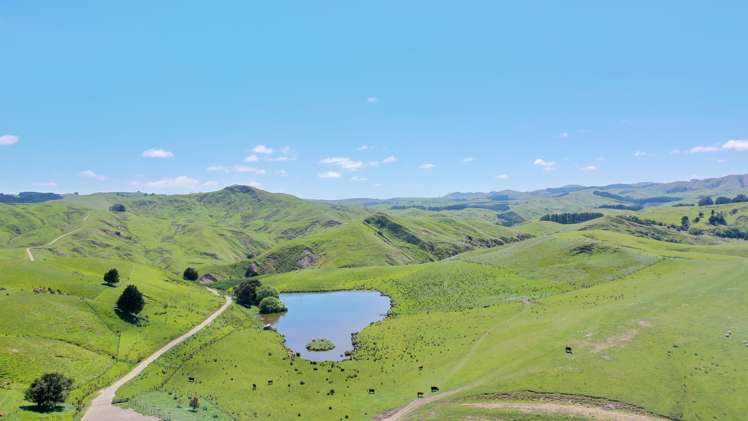 207 Mangatuna Road Weber_7