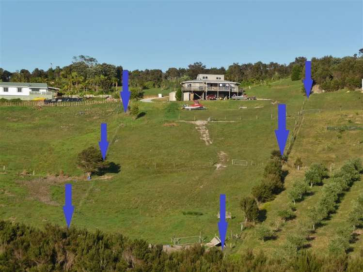 85 Taipa Heights Drive Taipa_40