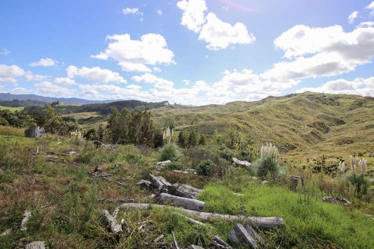 Broadwood Road Broadwood_8