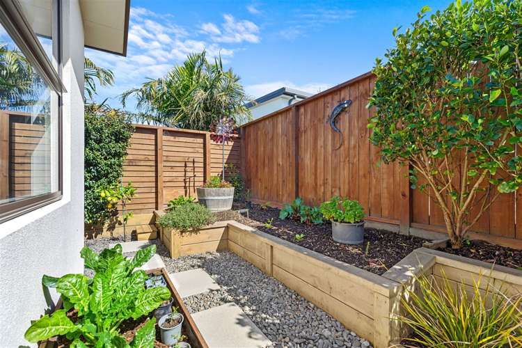 70 Coast Boulevard Papamoa_15