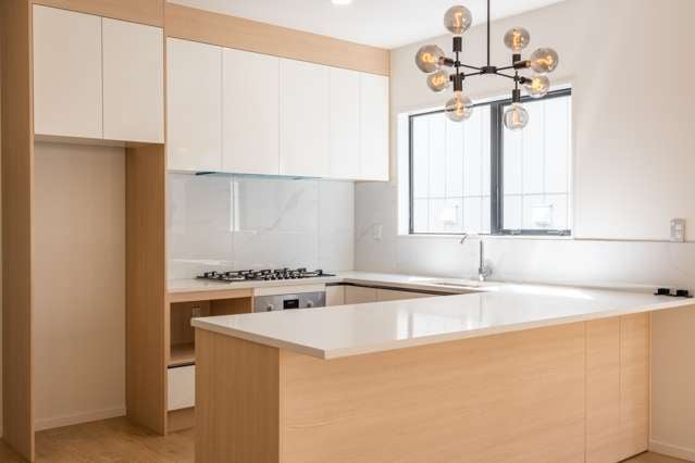 3a Frontier Lane Flat Bush_1
