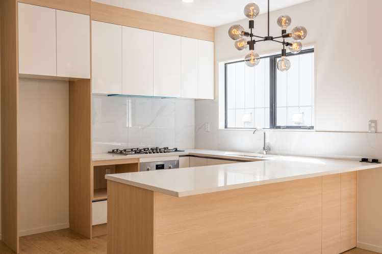 3a Frontier Lane Flat Bush_1
