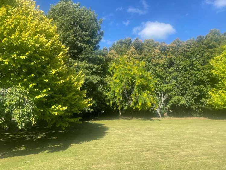 123 Great North Road Kamo_7