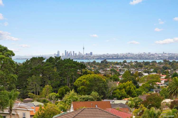 241 Royal Road Massey_5